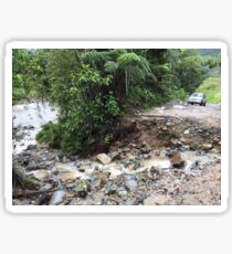 Jungle River Road; Take The Road Less Traveled Sticker