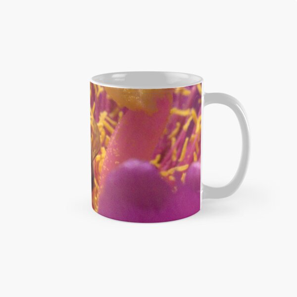 Item preview, 242 Cactus Flower Buckhorn designed and sold by ptosis.