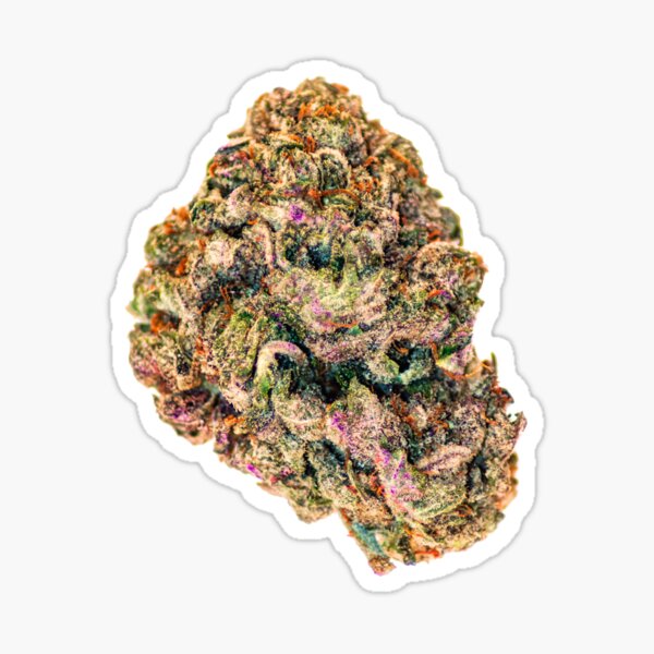 Gelato 41 Sticker