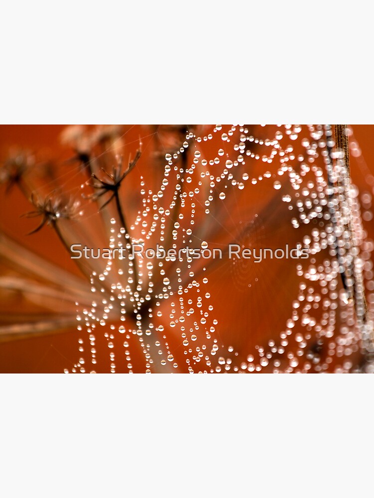 String of Peals by Sparky2000