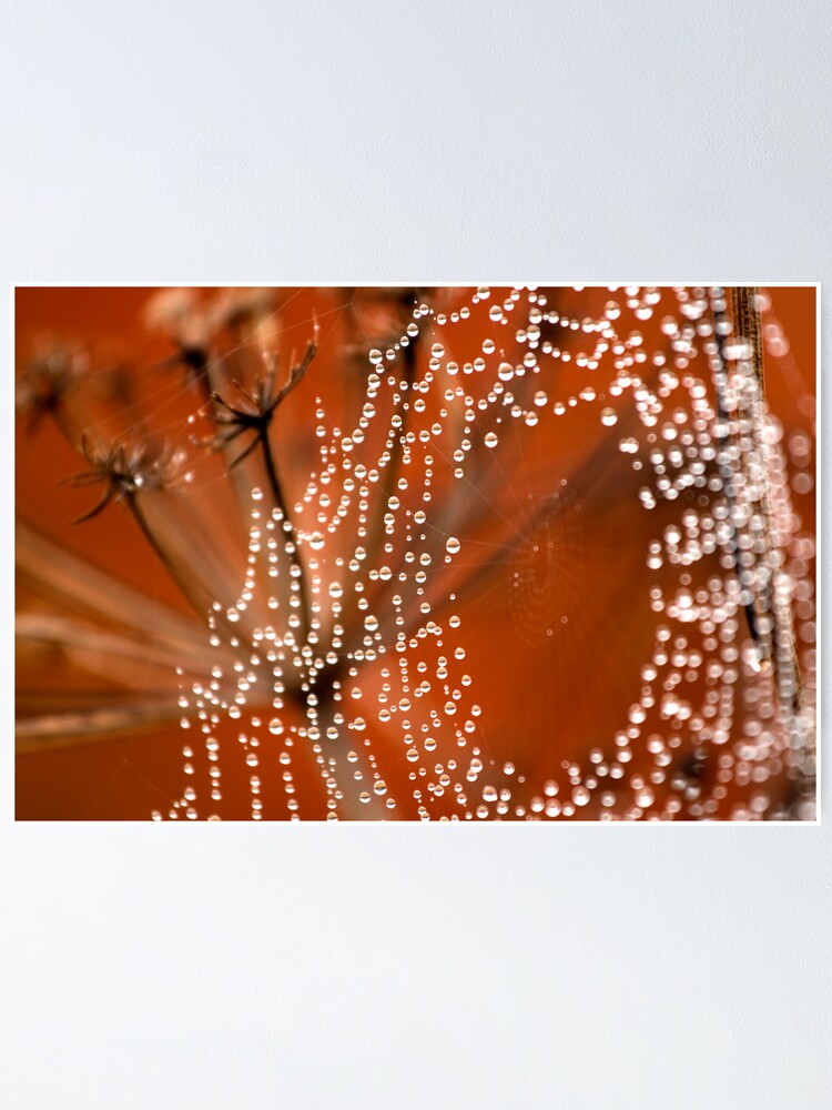 Alternate view of String of Peals Poster