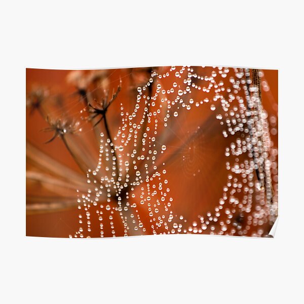 String of Peals Poster