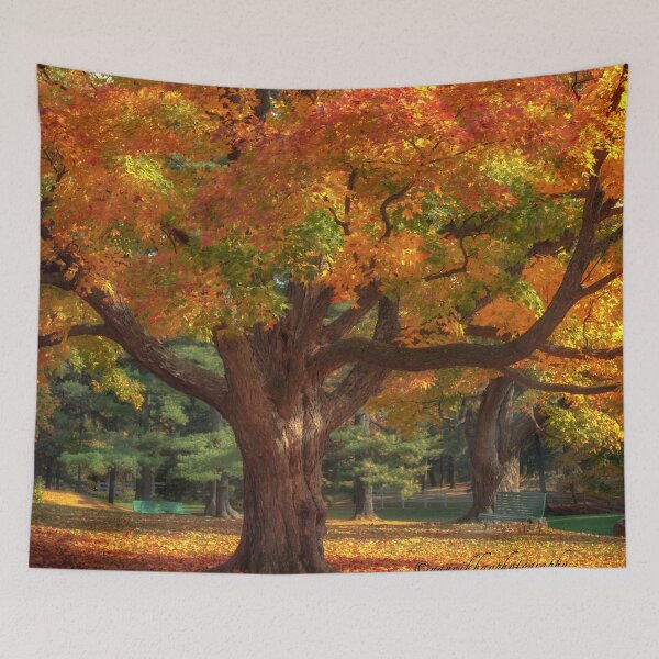 Item preview, Autumn Colours 2 - MacKenzie-King Estate designed and sold by Yannik Hay.
