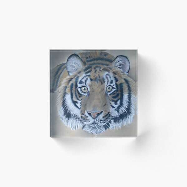 Tigre aux pastels Bloc acrylique