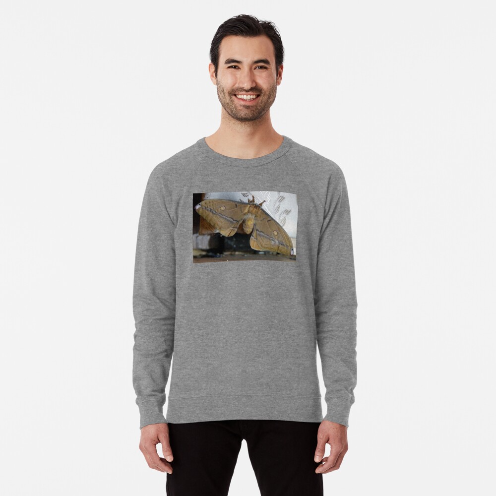 Item preview, Lightweight Sweatshirt designed and sold by MagpieSprings.