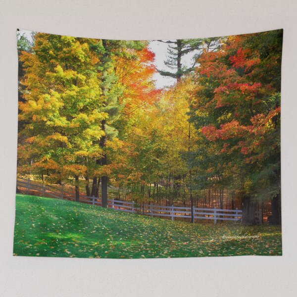 Item preview, Autumn Colours 4 - MacKenzie-King Estate designed and sold by Yannik Hay.