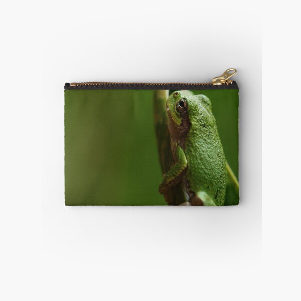 Item preview, Frog designed and sold by ikshvaku.