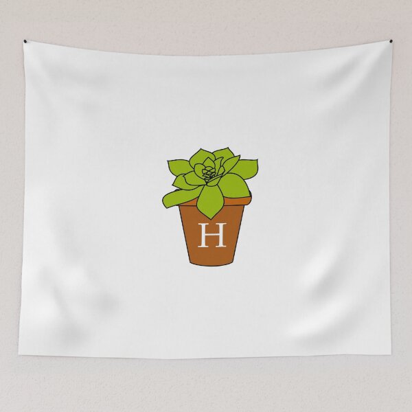 Item preview, Small Succulent - Eta designed and sold by Maceym13.