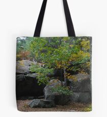 Granite Tote Bag