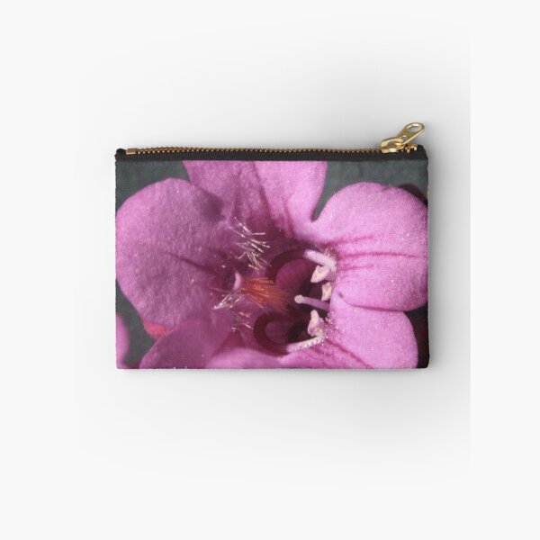 Item preview, 248 Violet Wild Petunia designed and sold by ptosis.