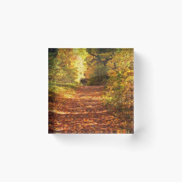 Item preview, Autumn Colours 3 - MacKenzie-King Estate designed and sold by Yannik Hay.