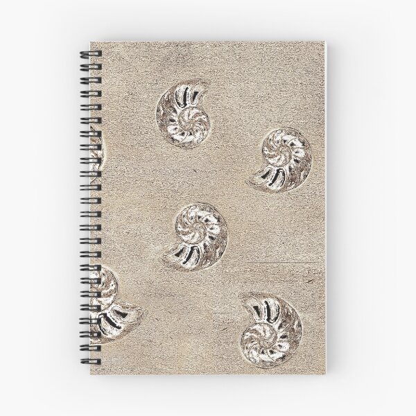 Item preview, © Ammonites designed and sold by GeoPipics.