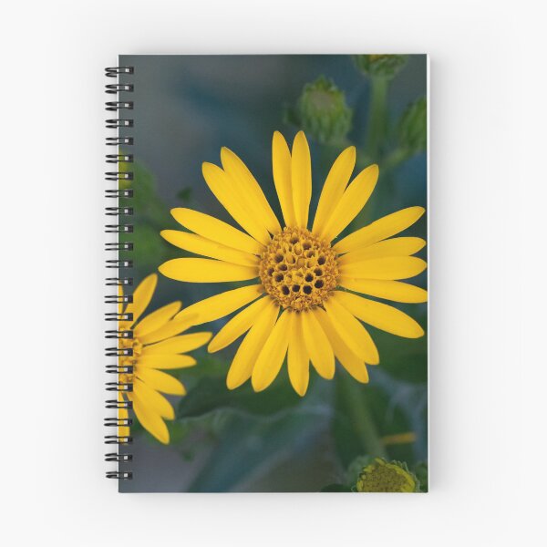 Item preview, yellow flower honeycomb center designed and sold by Dawn Estes.