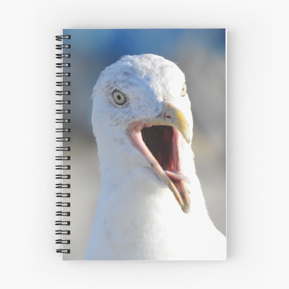 Item preview, Spiral Notebook designed and sold by Abby Morin.