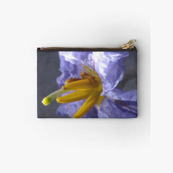 Item preview, 252 Blue-eyed Grass designed and sold by ptosis.