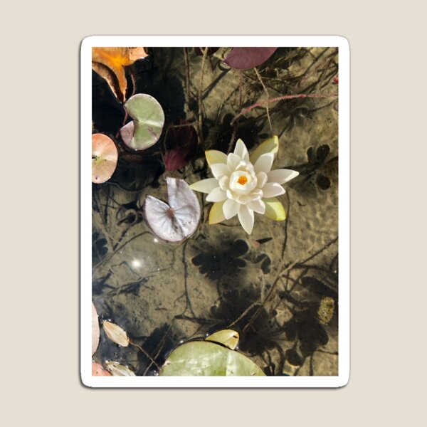 Item preview, Brenda Sees Holland! designed and sold by Isaac Robinson.