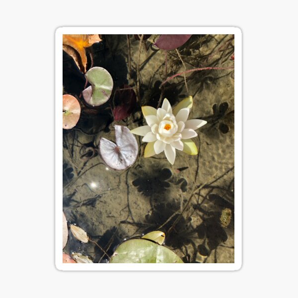 Item preview, Brenda Sees Holland! designed and sold by Isaac Robinson.