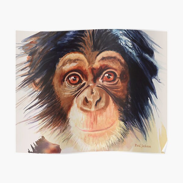"Chimpanzee" Watercolor Poster
