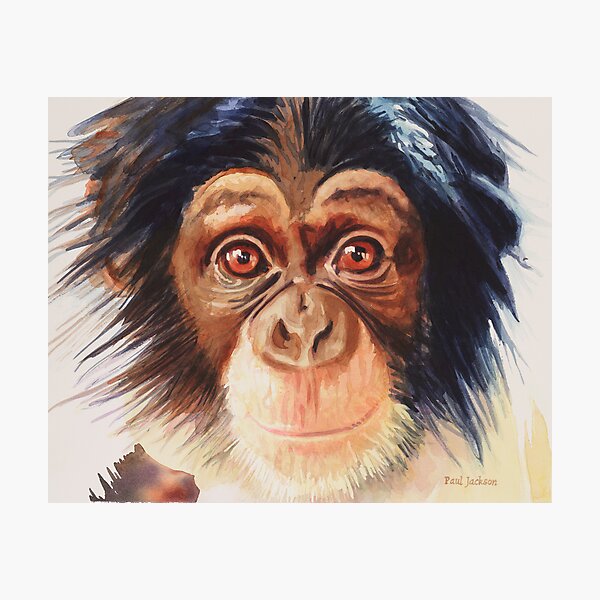 "Chimpanzee" Watercolor Photographic Print