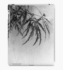 Acer iPad Case/Skin