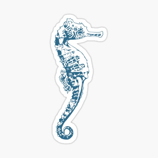 Cape Seahorse Sticker