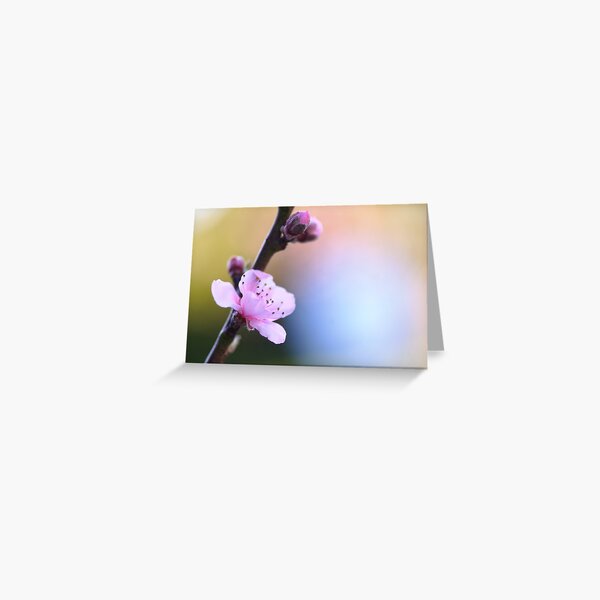 The richness I achieve comes from Nature, the source of my inspiration... Greeting Card