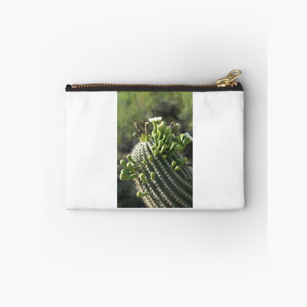 Item preview, 255 Saguaro designed and sold by ptosis.