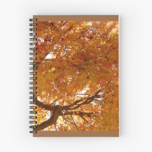 Item preview, *Overhanging branch made quite a picture in Trentham, Vic.* designed and sold by EdsMum.