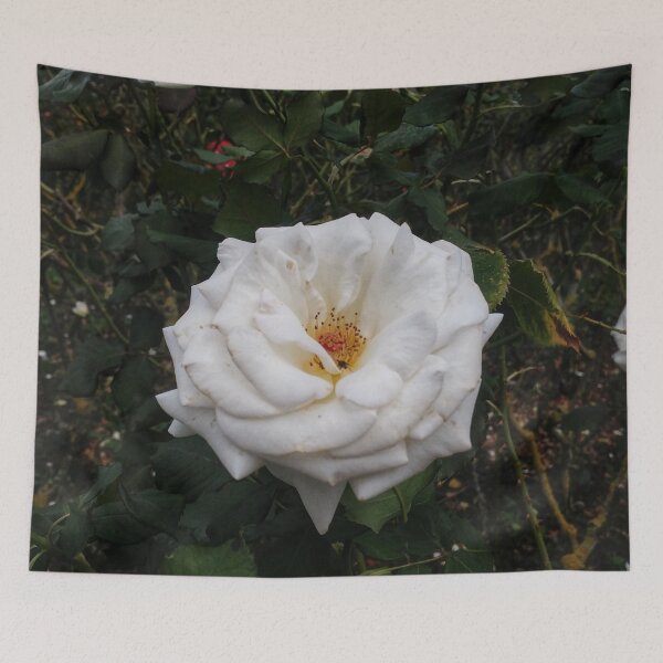 Item preview, White Smooth Rose  designed and sold by The Rage Garden.