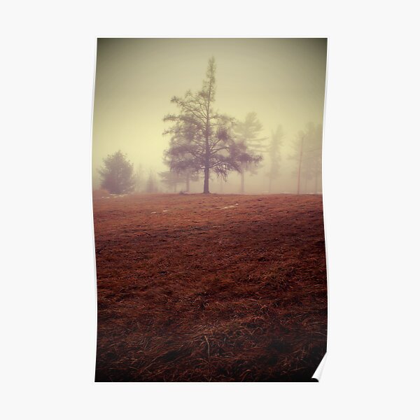 imperfection Poster