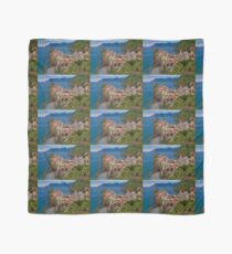 Italy. Cinque Terre. Vernazza. Scarf