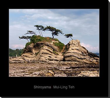 "Shiroyama" by Mui-Ling Teh
