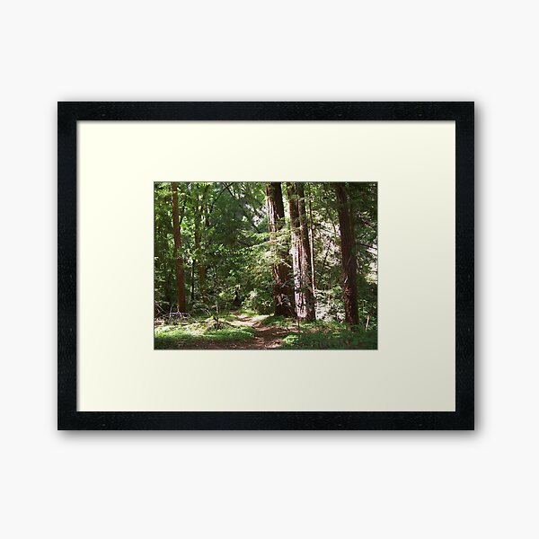 Item preview, Redwood Path designed and sold by MRMiller96.
