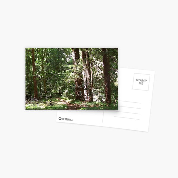 Item preview, Redwood Path designed and sold by MRMiller96.
