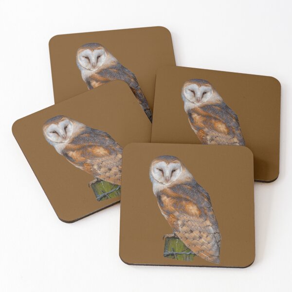 Item preview, Barn Owl perch and pounce hunting designed and sold by Dalyndigital Photography.