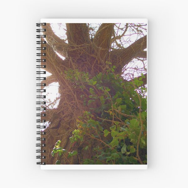 Artikelvorschau, Alter Baum entworfen und verkauft von MRMiller96.