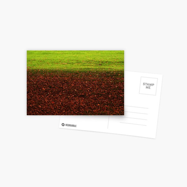 Autumn textures Postcard