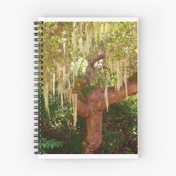 Item preview, Mossy Tree designed and sold by MRMiller96.