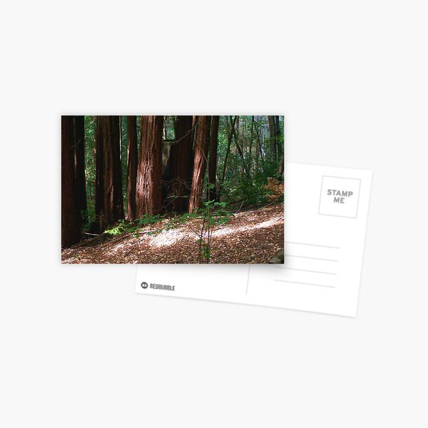 Item preview, Shaded Forest designed and sold by MRMiller96.