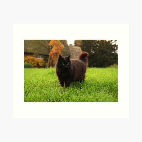 You know I'm coming Art Print