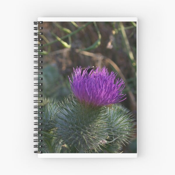 Item preview, Wild Thistle designed and sold by MRMiller96.