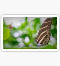 Butterfly Sticker