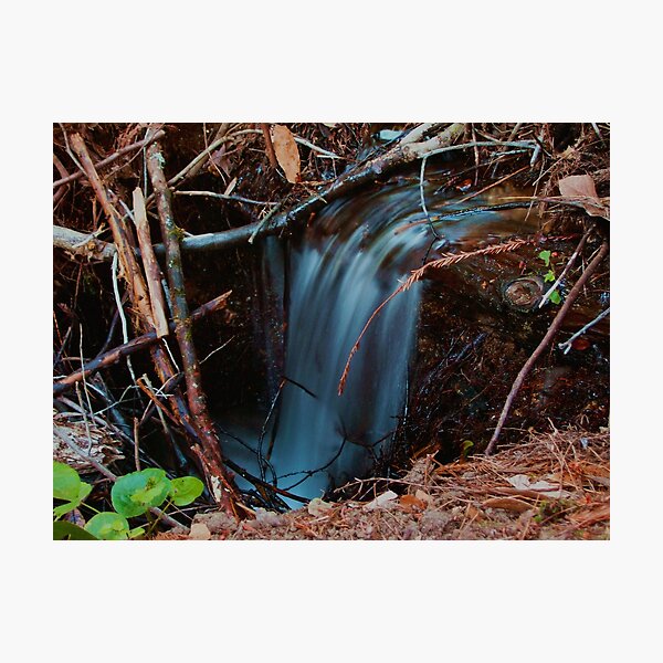 Item preview, Forest Waterfall 2 designed and sold by MRMiller96.