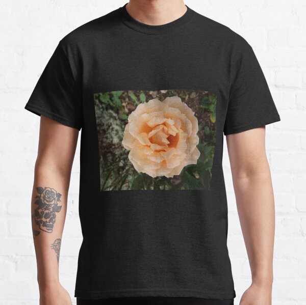 Item preview, Peach Rose designed and sold by CORNISHPHOTOS.