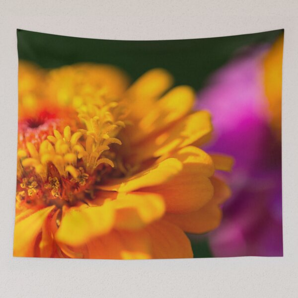 Item preview, Orange and Pink Cosmo Flowers designed and sold by srgreen.
