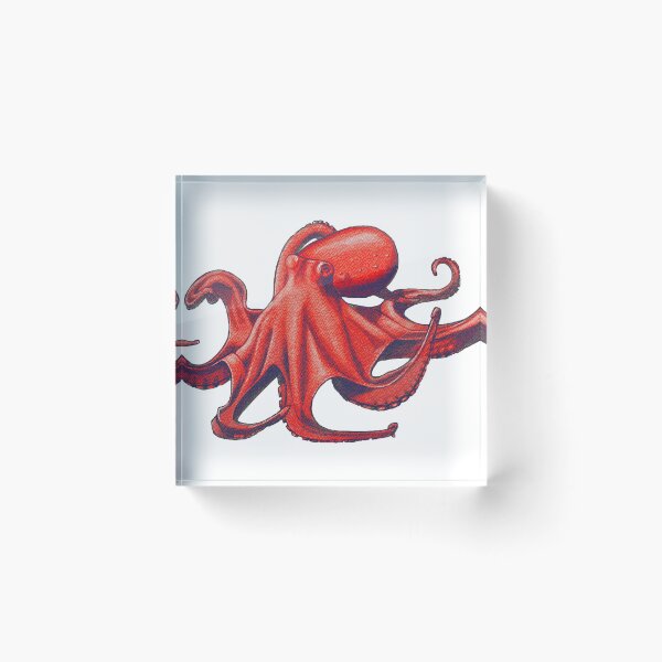 Item preview, Red Octopus designed and sold by Rachelkambeitz.