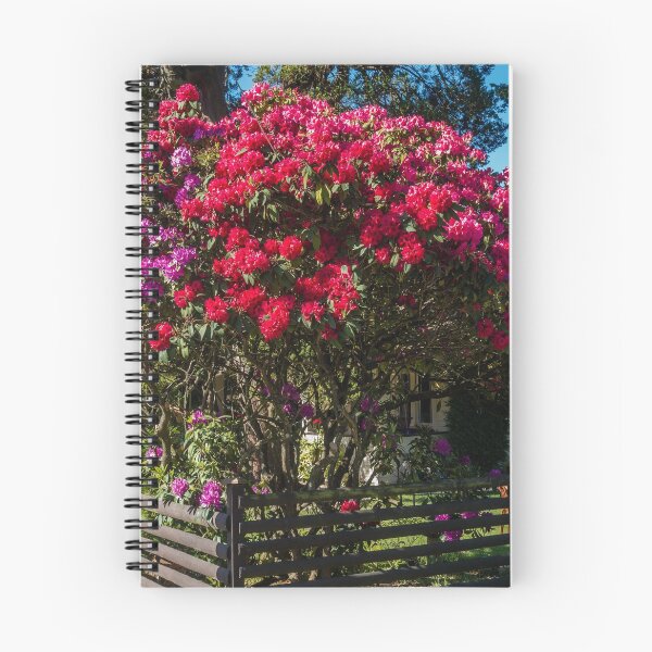 Item preview, Enormous Rhododendron Bushes designed and sold by georgecolephoto.