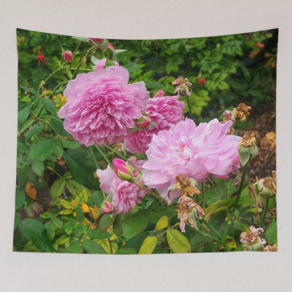 Item preview, Light Pink Roses  designed and sold by The Rage Garden.