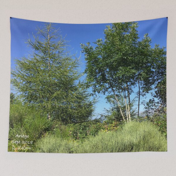 Item preview, Ariège Pyrenees - Miglos view 5 designed and sold by AHELENE.