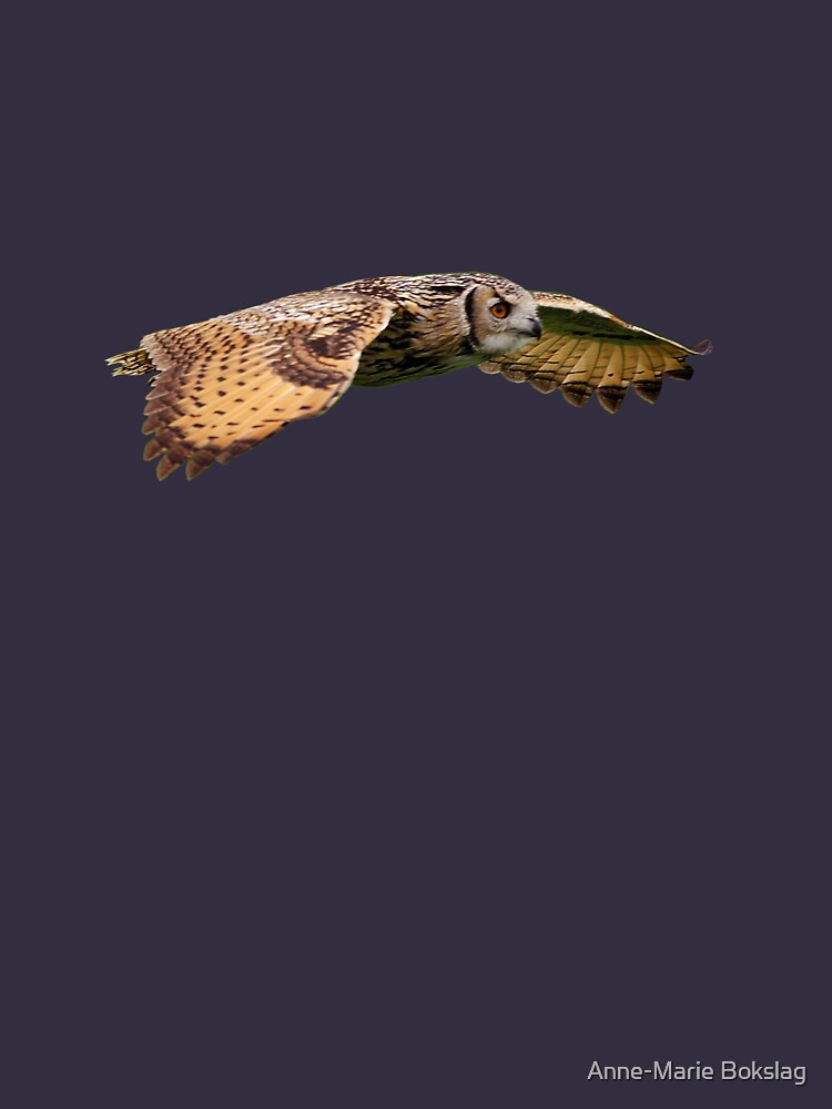 Rock Eagle Owl by amb1946